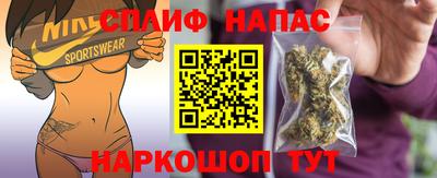 дживик Камышлов