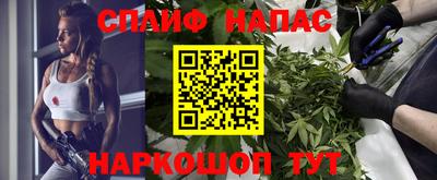 дживик Камышлов